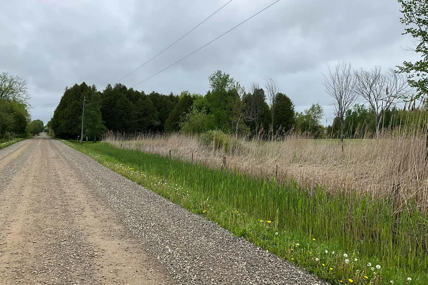 Additional image 8 of 5169 First Line