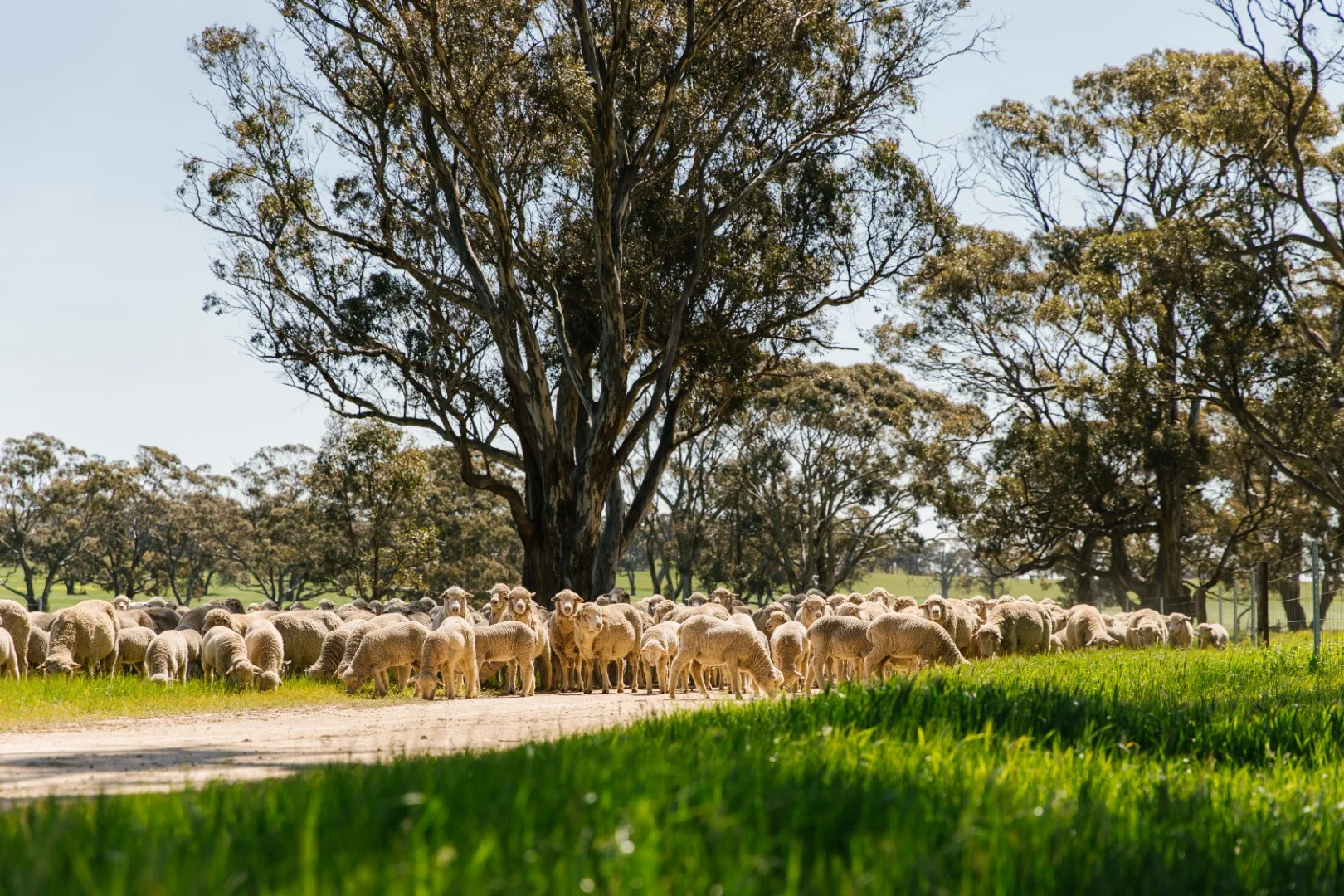 Additional image 21 of 829 Anlaby Road, Hamilton SA 5373