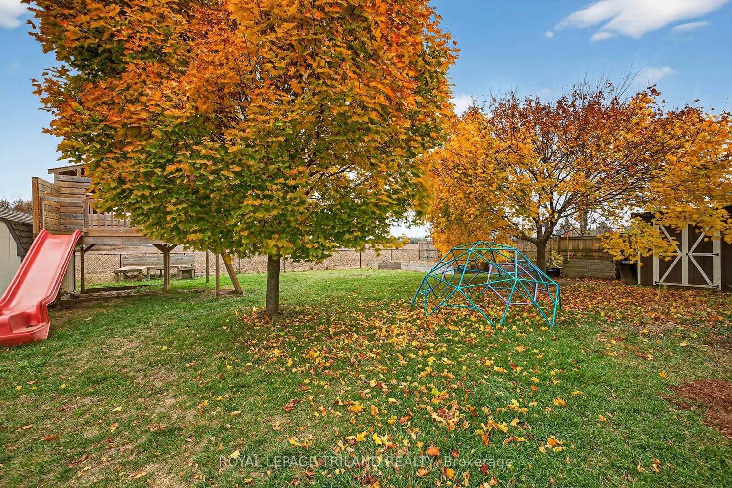 Additional image 14 of 11565 Springfield Road