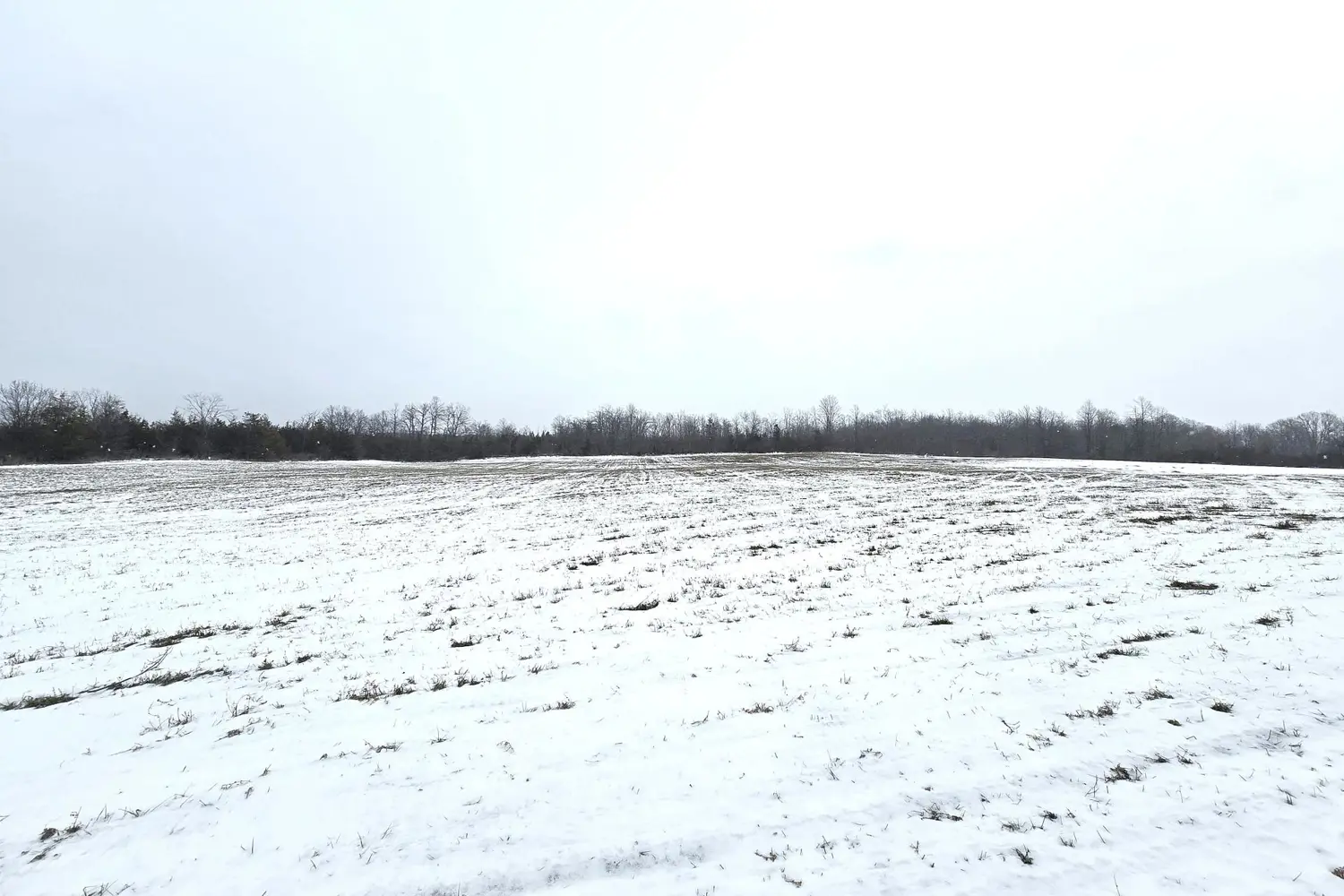 Additional image 5 of 0 Shannonville Road