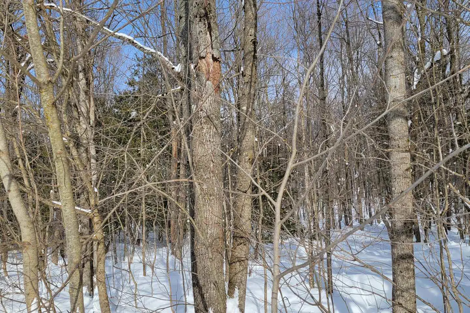 Additional image 3 of Ptlt 26 Mulock Road