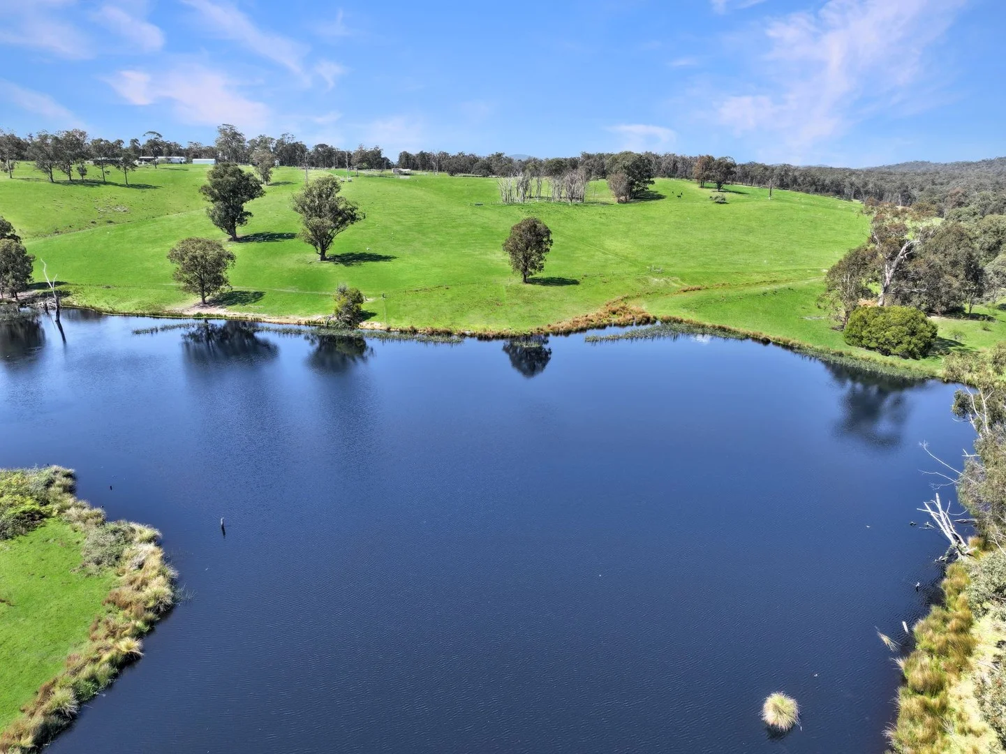 Additional image 5 of 151 Wattle Hill Road, Buchan South VIC 3885