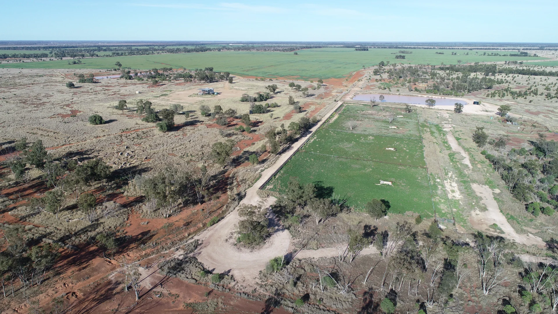 Additional image 4 of Mirreyah Feedlot Talwood Mungindi Road,, Talwood QLD 4496