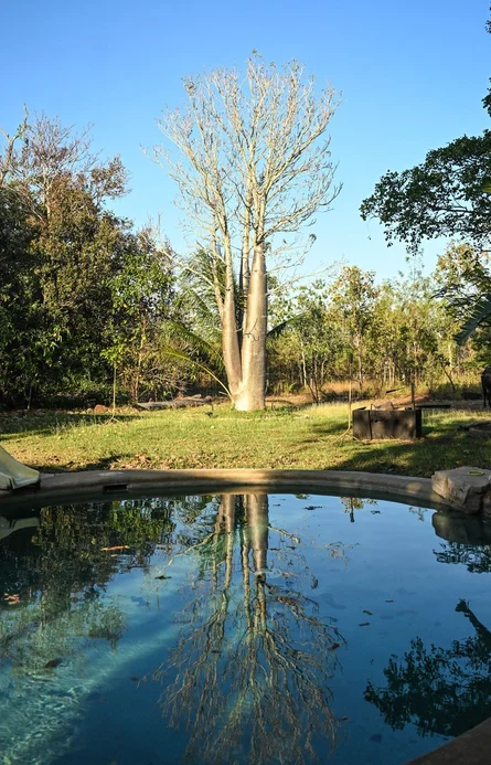 729 Reebeds Road, Darwin River NT 0841