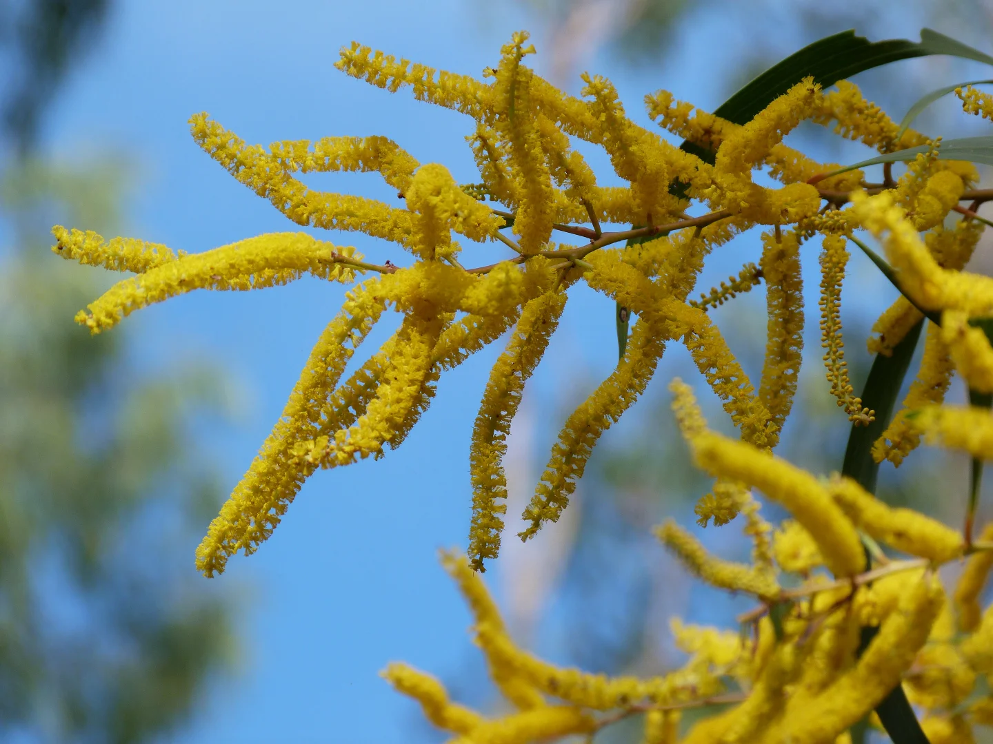 Additional image 29 of Notch Point Road, Ilbilbie QLD 4738