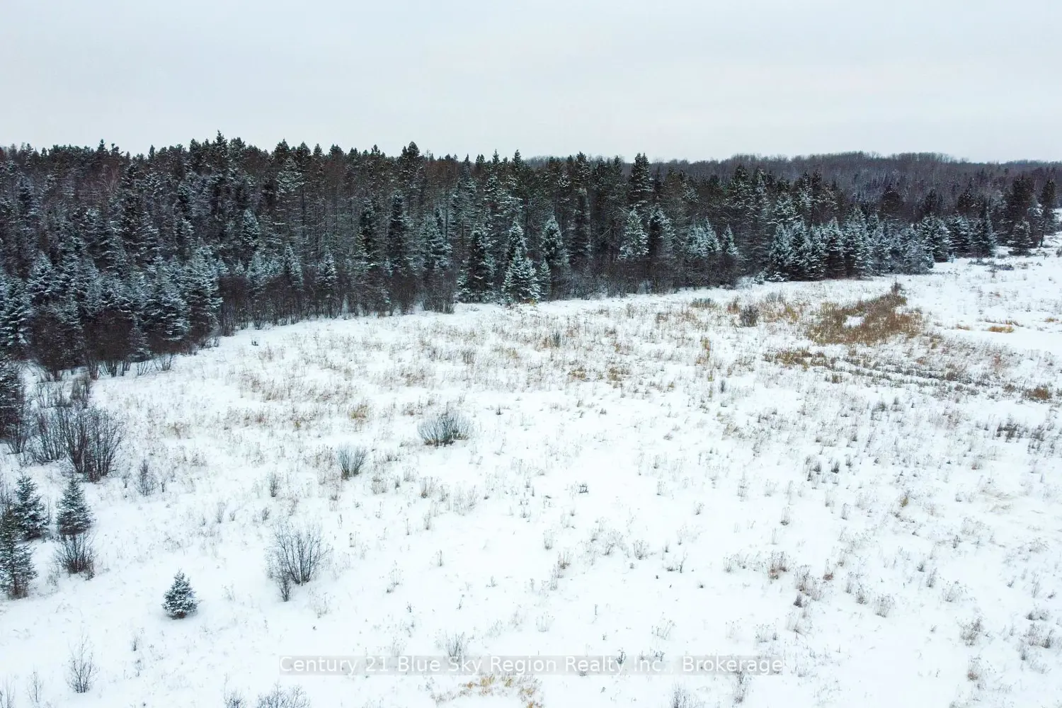 Additional image 5 of 1185 Corbeil Road