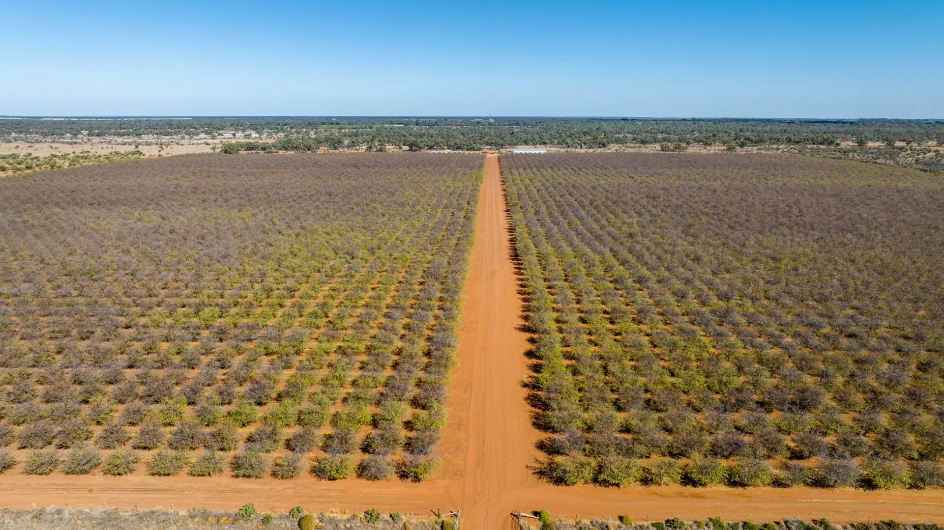 Additional image 7 of 3340 Low Darling Road, Wentworth NSW 2648