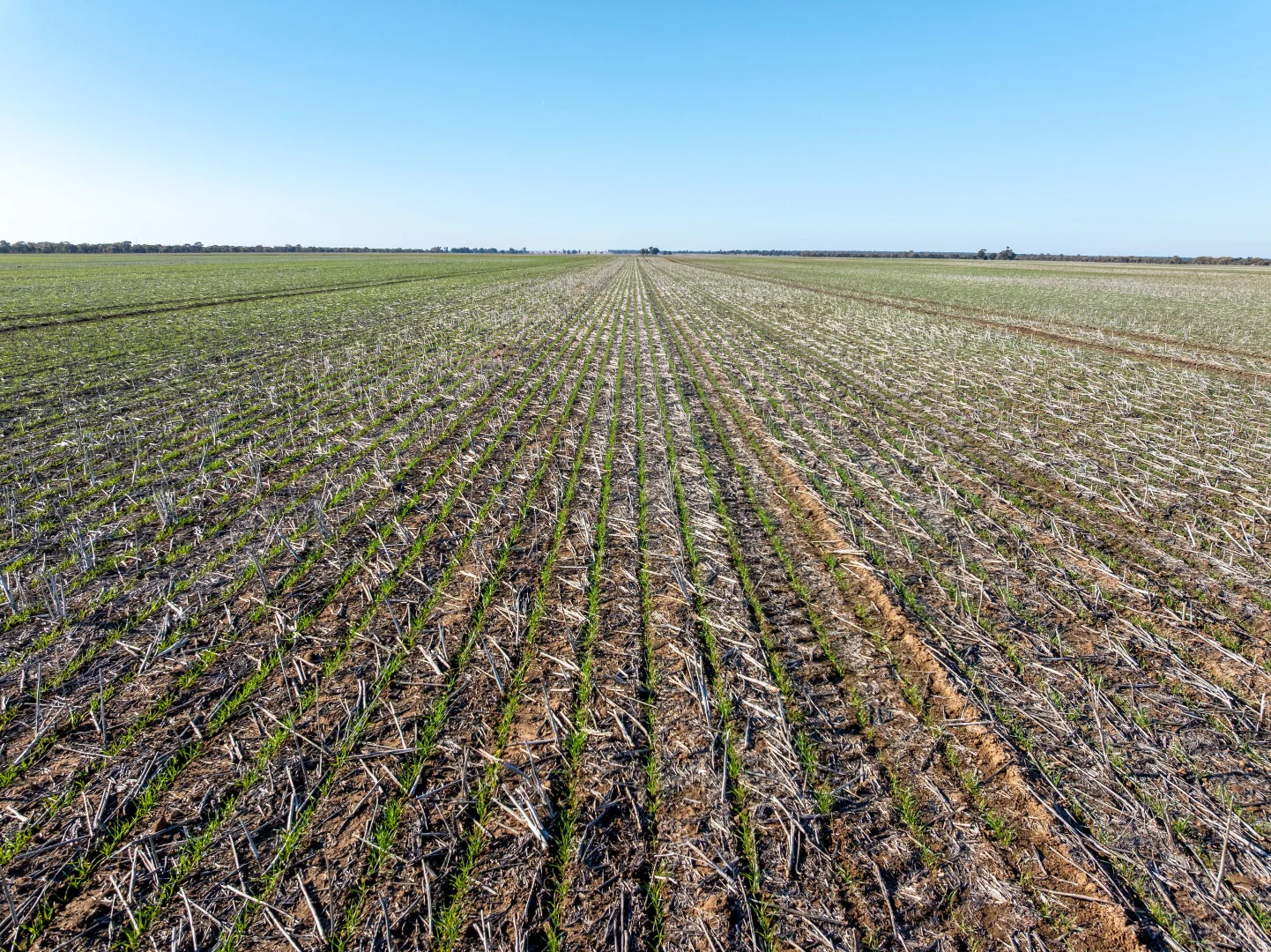 Additional image 11 of 609 Barragunda Road, Urana NSW 2645