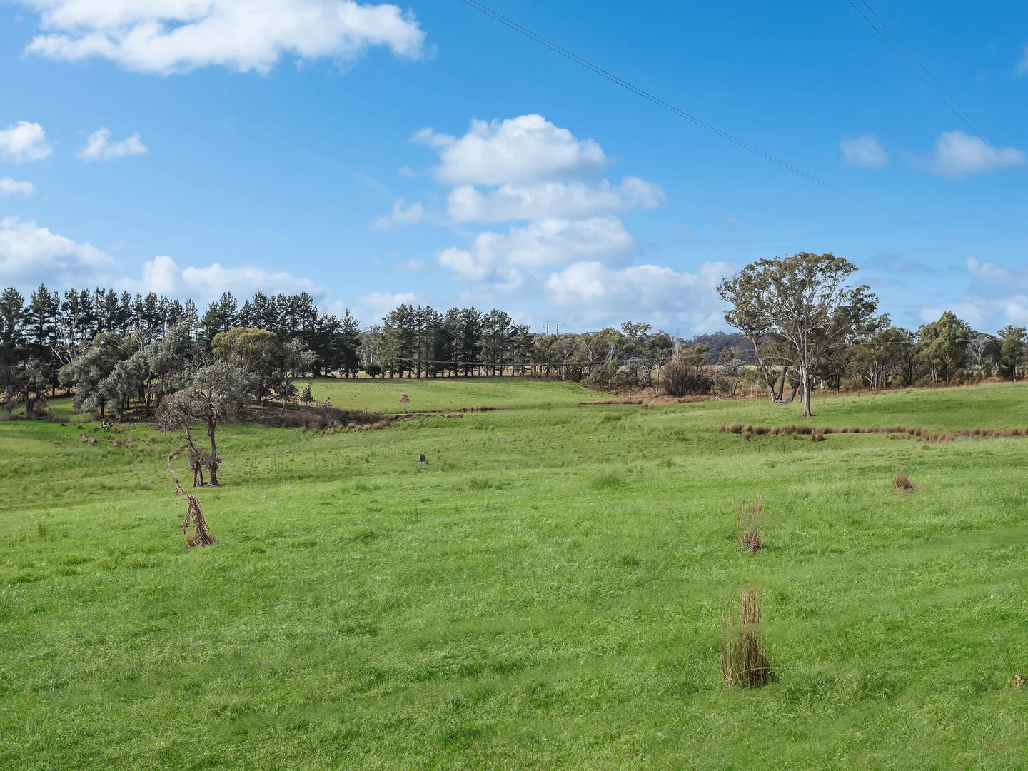 Additional image 34 of 551 Inverary Road, Paddys River NSW 2577