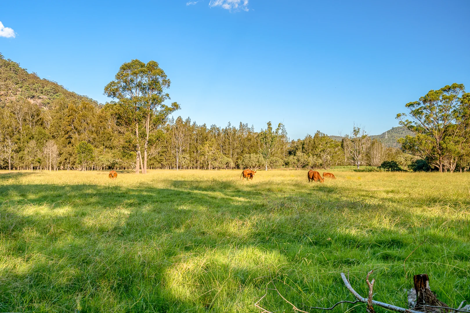 Additional image 21 of 46 & 59 Singleton Road, Wisemans Ferry NSW 2775