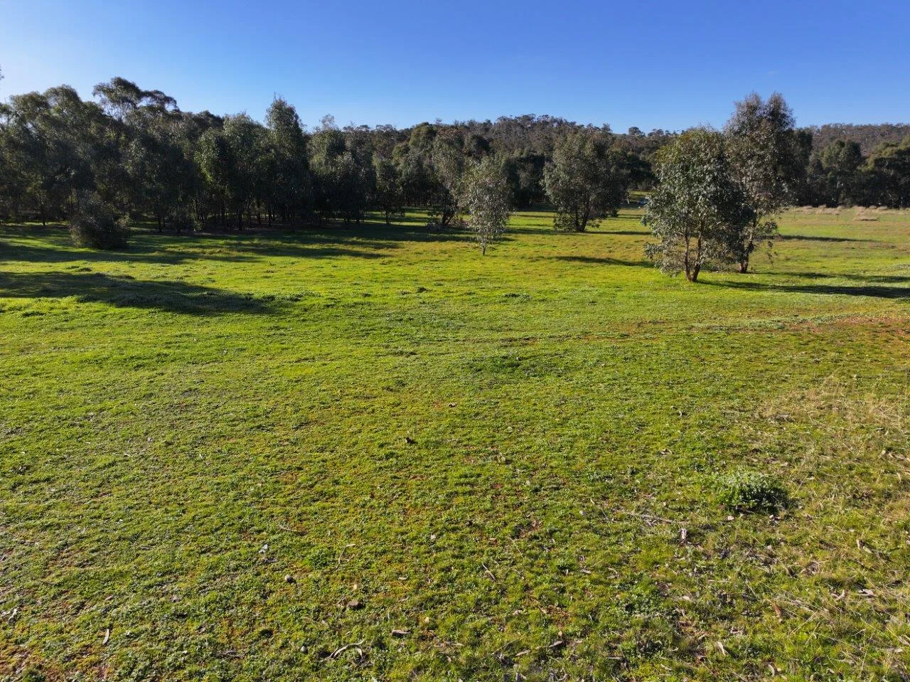 Additional image 11 of Langley Lane, McIntyre VIC 3472