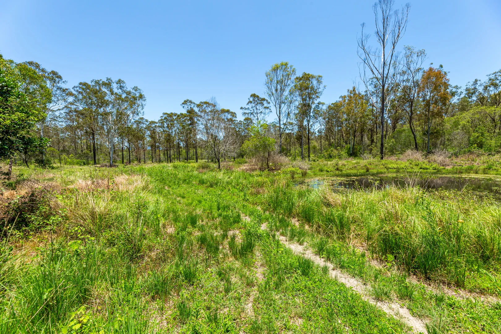 Additional image 5 of 42984 Bruce Highway, Colosseum QLD 4677
