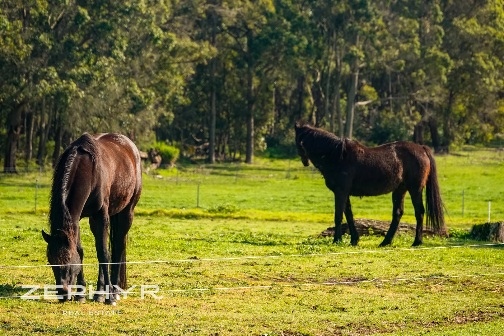 Additional image 13 of 171 Fuller Road, Napier WA 6330