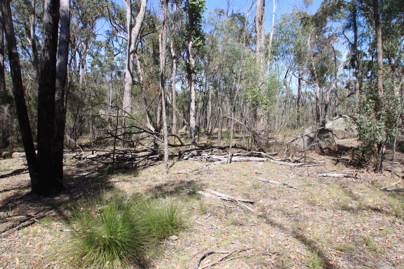 Additional image 25 of Lot 1 Brusharbers Road, Tenterfield NSW 2372