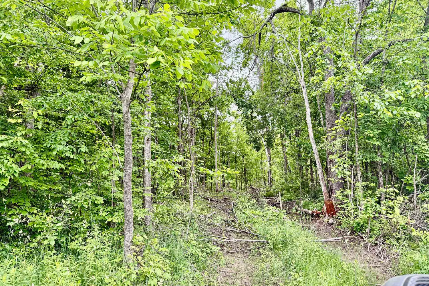 Additional image 4 of 00 Cooper Road