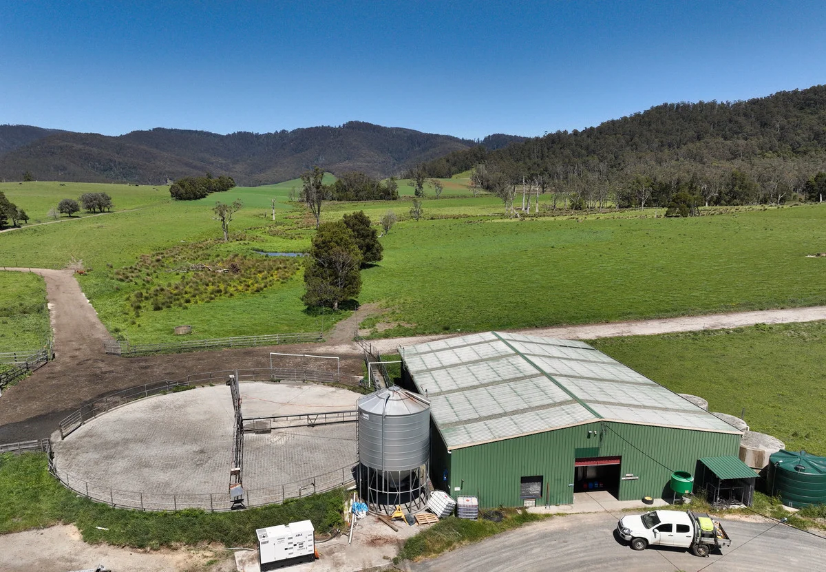 Additional image 17 of 569 St Columba Falls Road, Pyengana TAS 7216