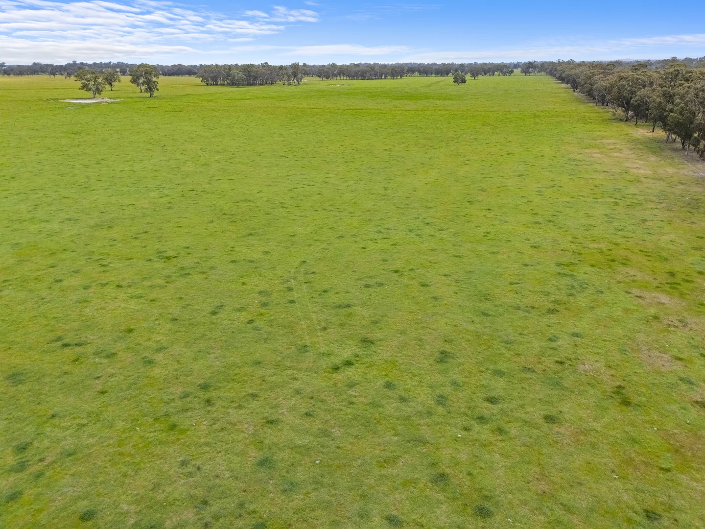 Additional image 7 of Lot 2 & Lot 1, PS 72 Basin Road, Tarnook VIC 3670