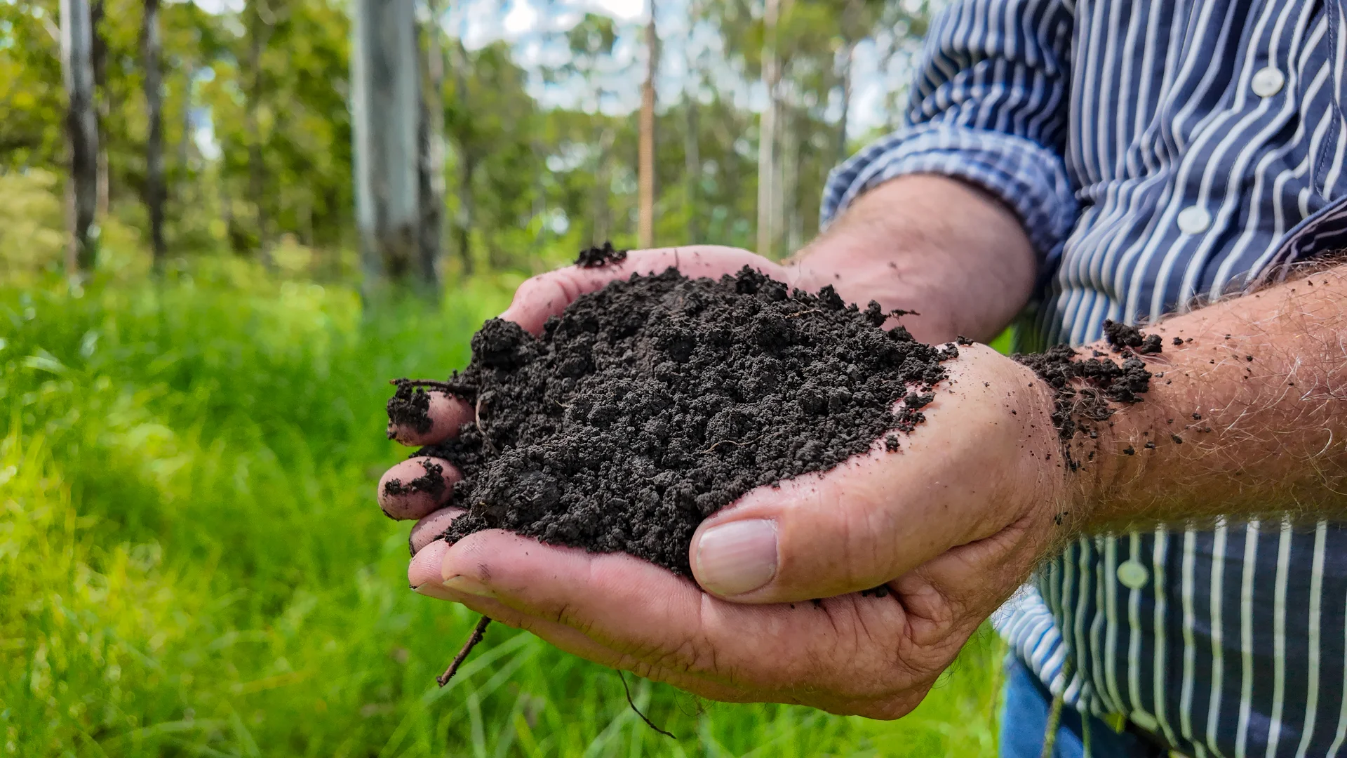 Additional image 7 of 80 Tooloom Street, Legume NSW 2476