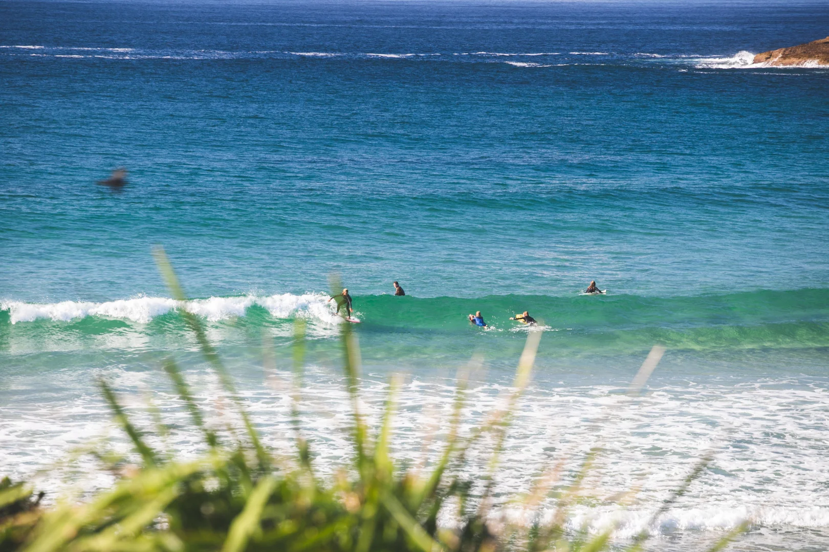 Additional image 15 of 46 Kurrawa Drive, Kioloa NSW 2539