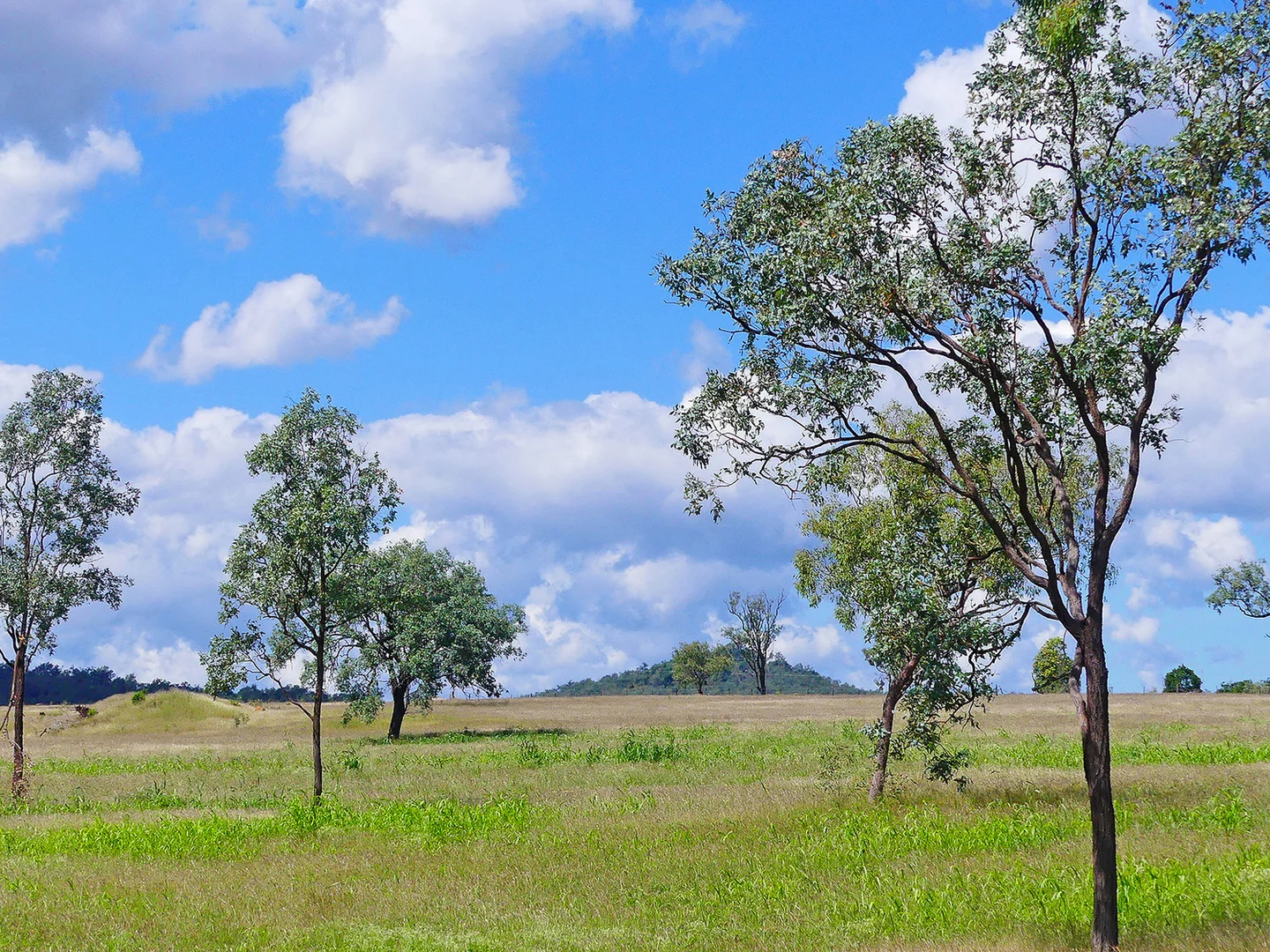 Additional image 9 of 0 'Spring Creek Ridge' Capricorn Highway, Westwood QLD 4702