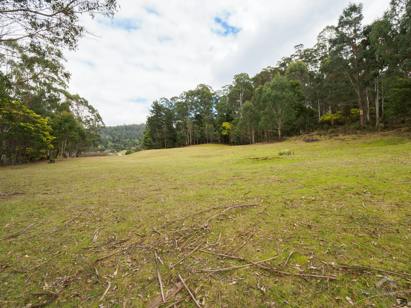 Additional image 13 of 493 Weetah Road, Weetah TAS 7304