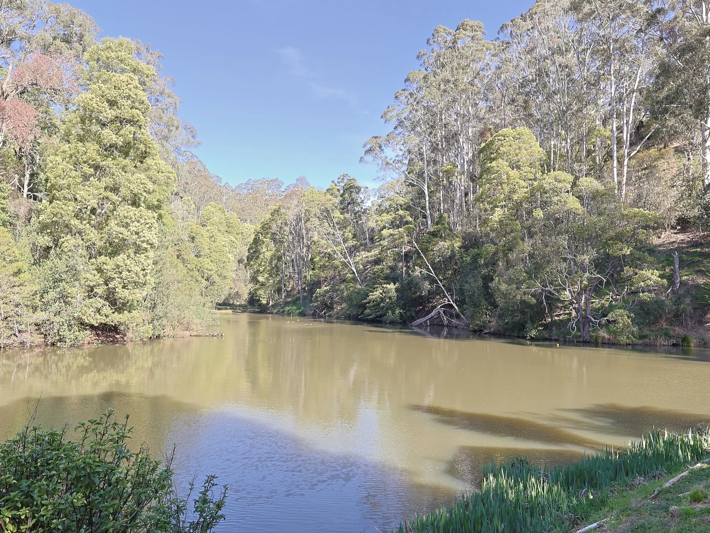 Additional image 4 of 145 Old Yarragon-leongatha Road, Yarragon South VIC 3823