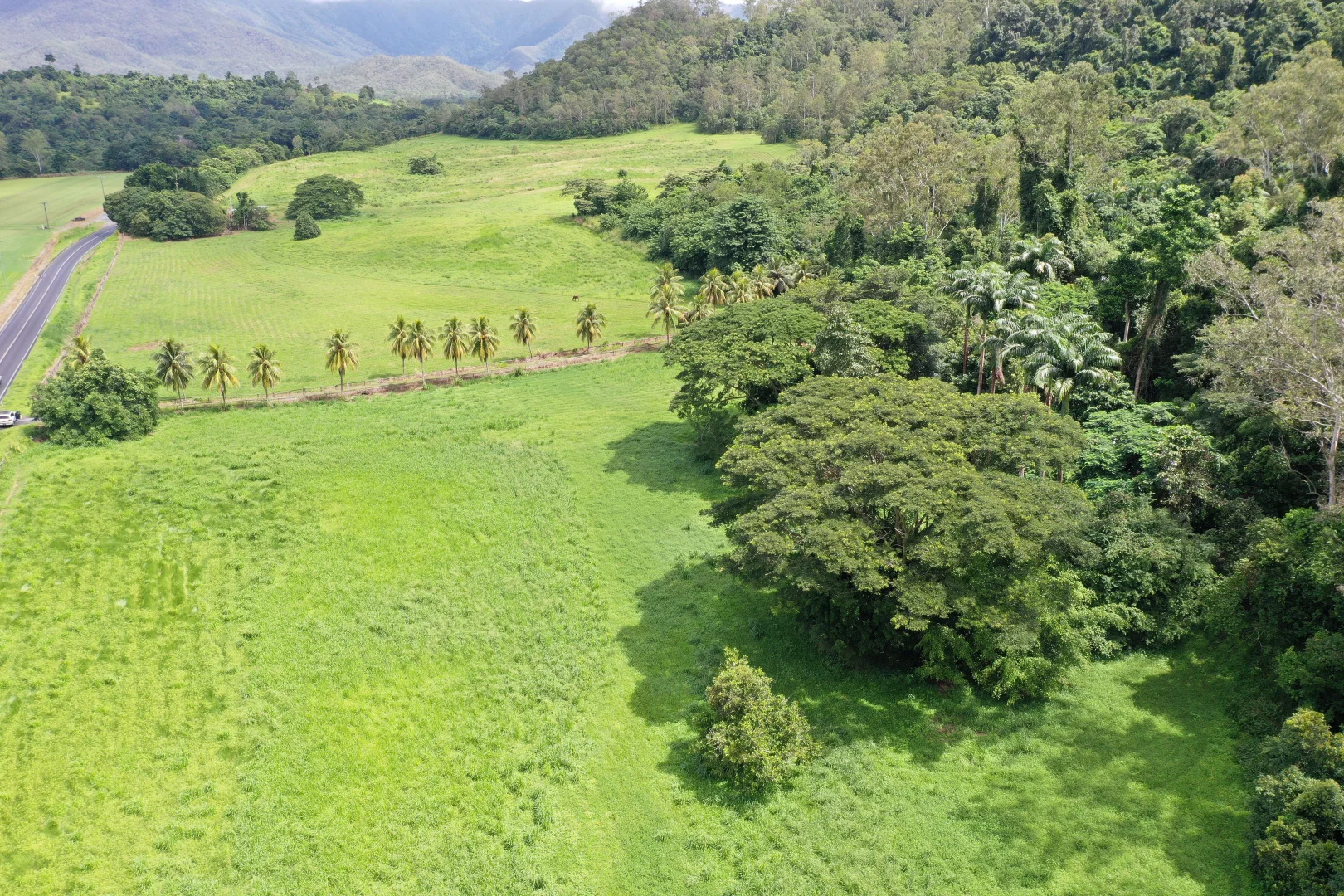 Additional image 8 of Gillies Range Road, Little Mulgrave QLD 4865