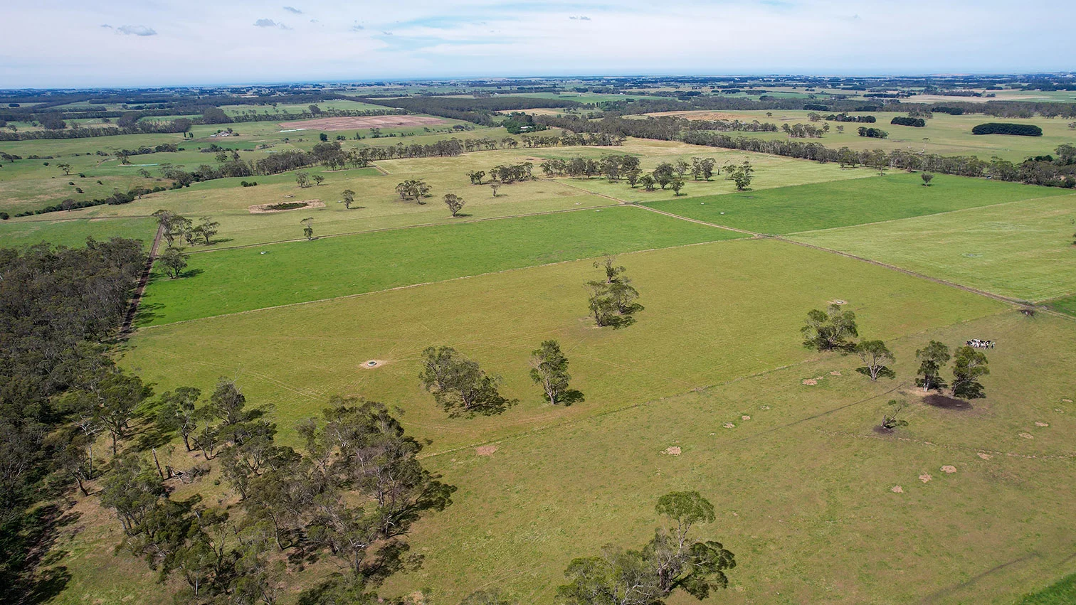 Additional image 13 of 211 Rollos Road, Panmure VIC 3265