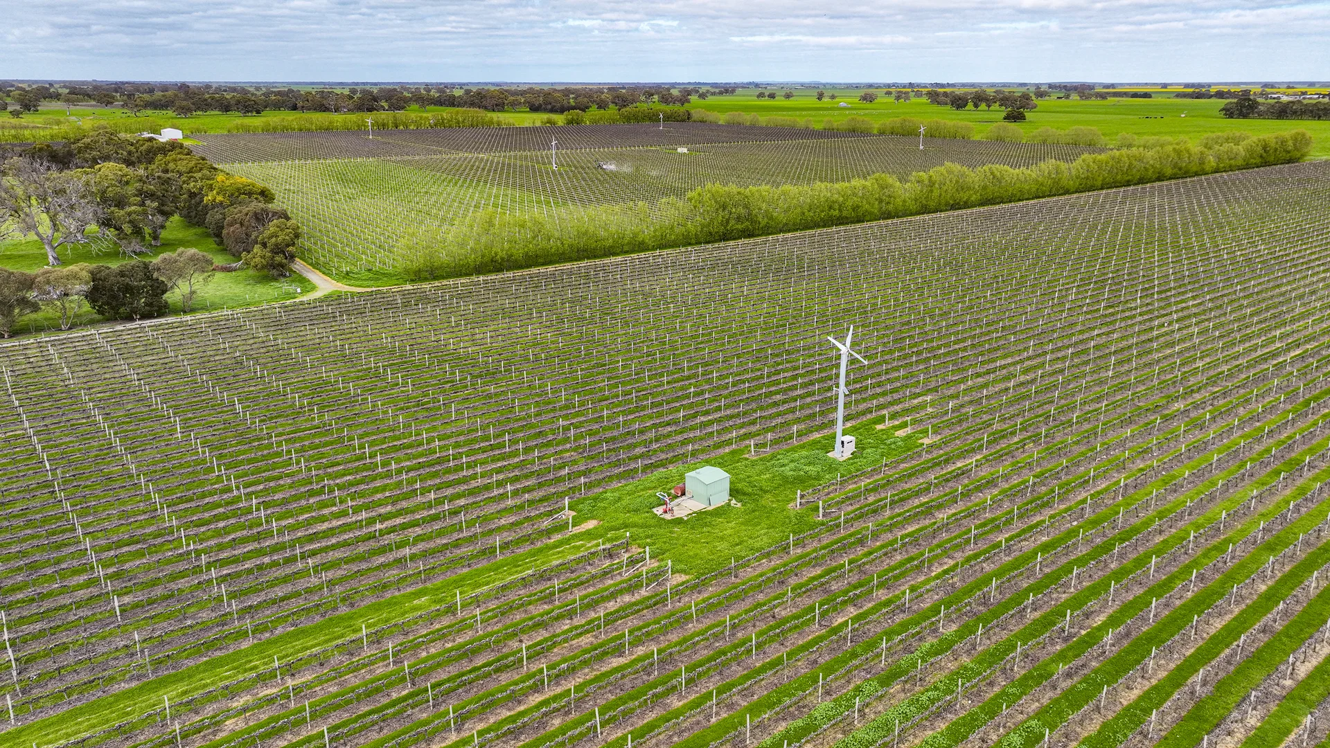 Additional image 14 of LOT 102, Bond Road, Penola SA 5277