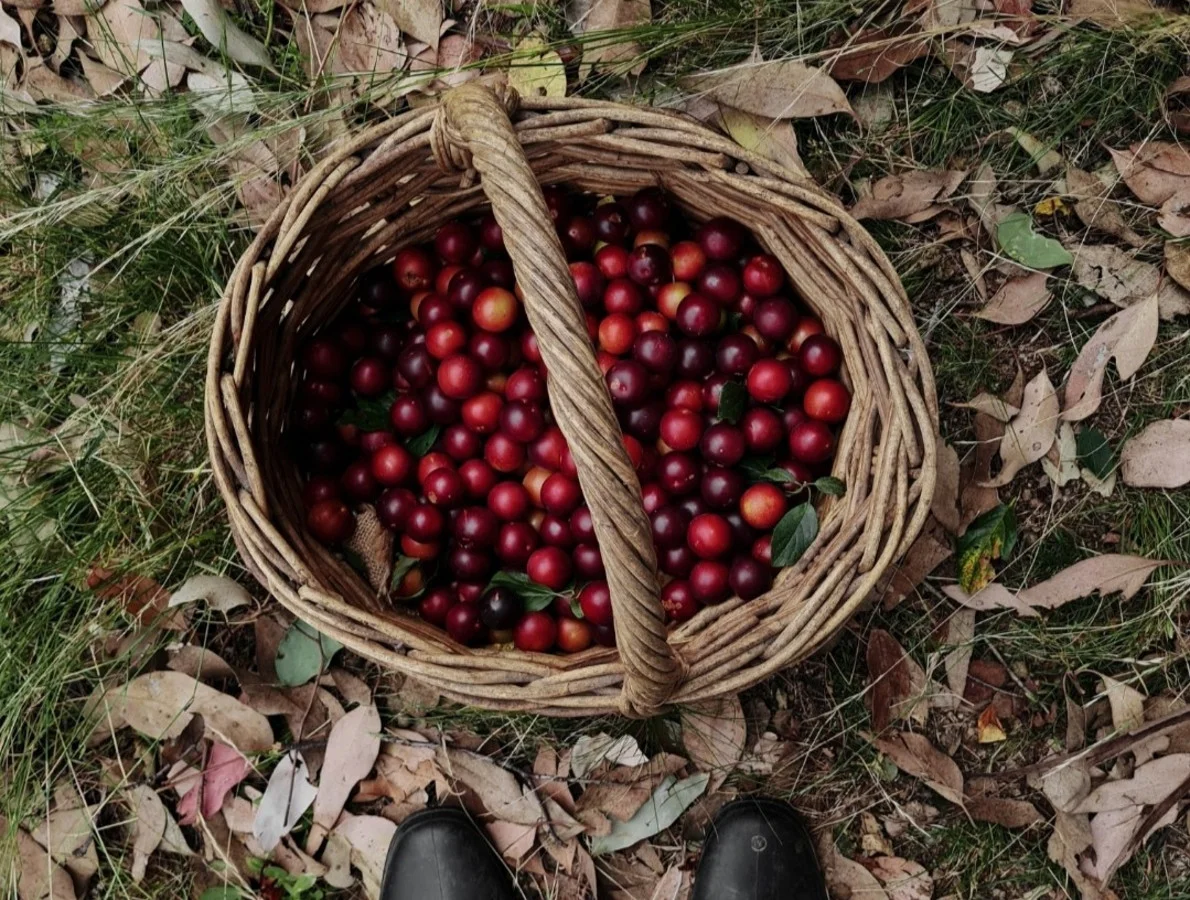 Additional image 25 of 46 Lachlan Street, Bigga, Crookwell NSW 2583