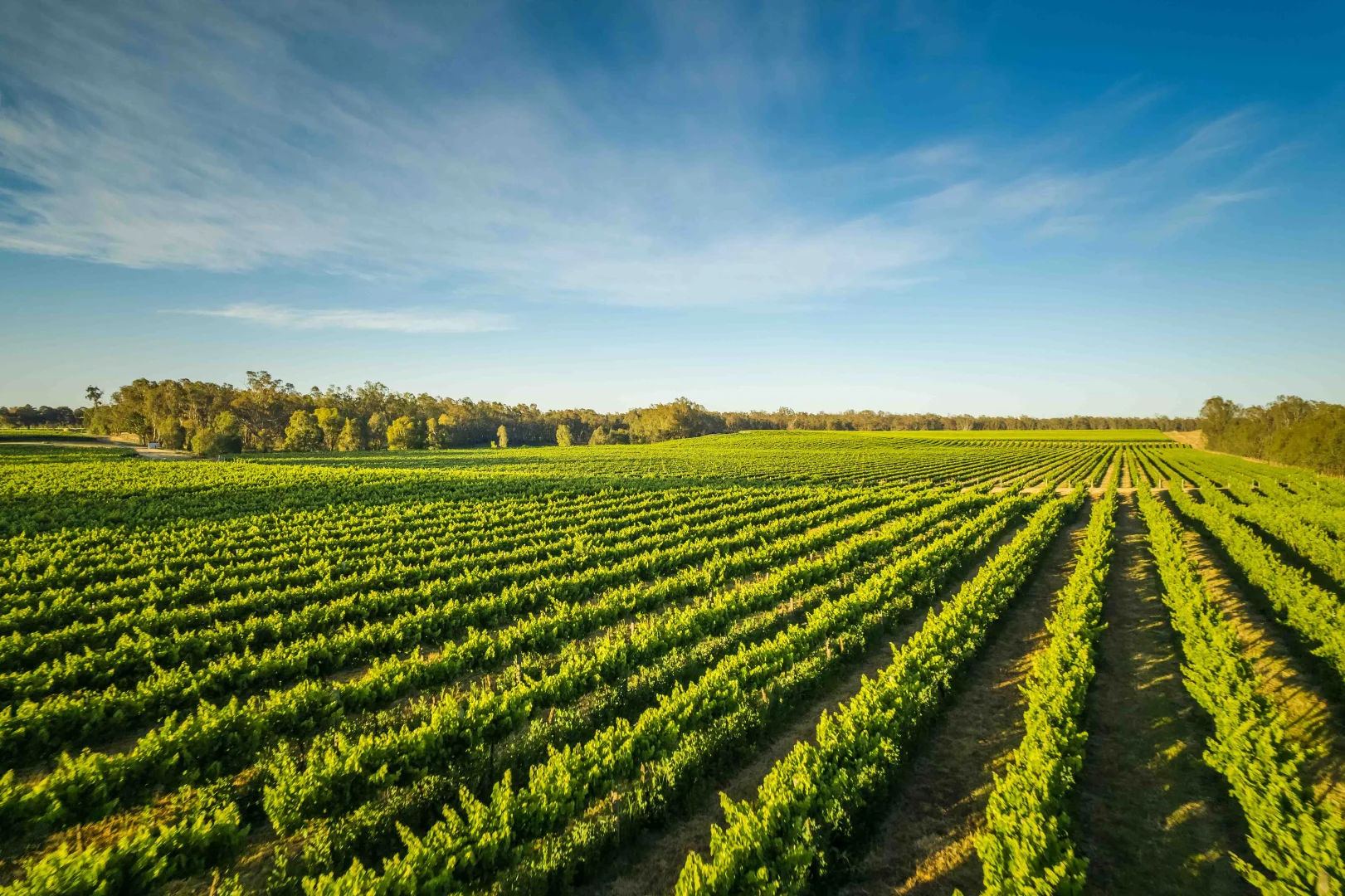 Additional image 3 of Nagambie VIC 3608