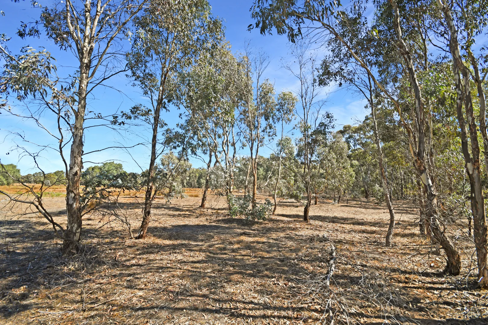 Additional image 9 of 37 Red Hill Road, Deep Lead Via, Stawell VIC 3380