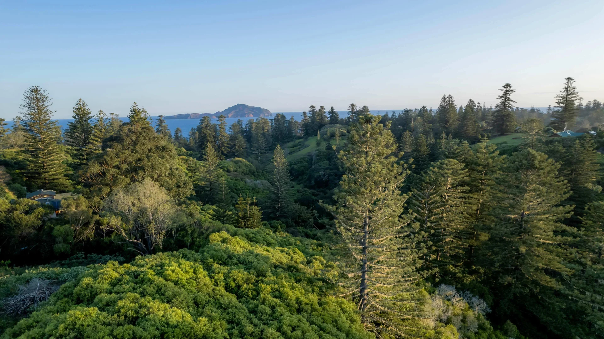 Additional image 3 of 77w6 Longridge Road, Norfolk Island NSW 2899