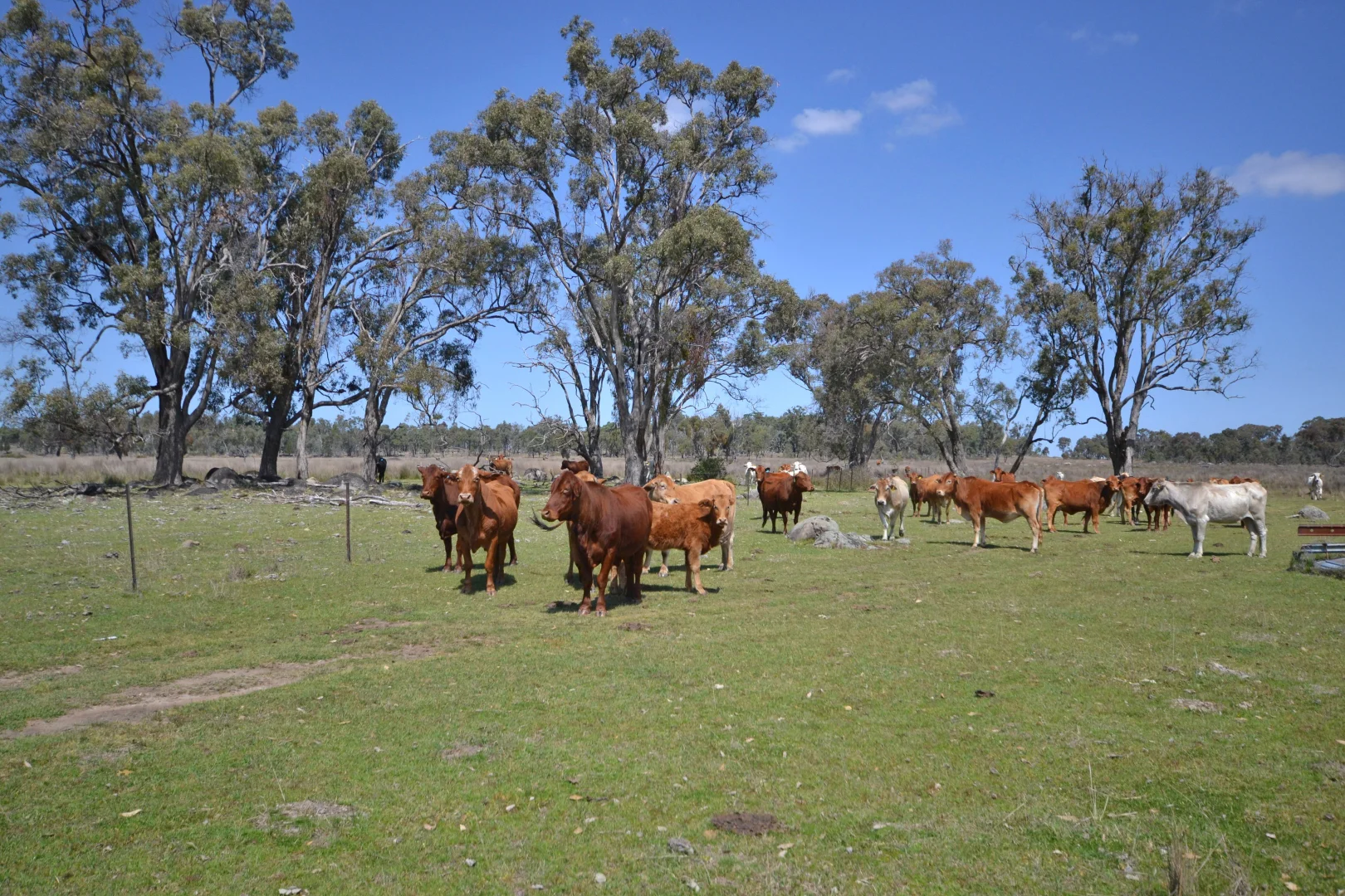 Additional image 10 of 404 New Valley Road, Inverell NSW 2360