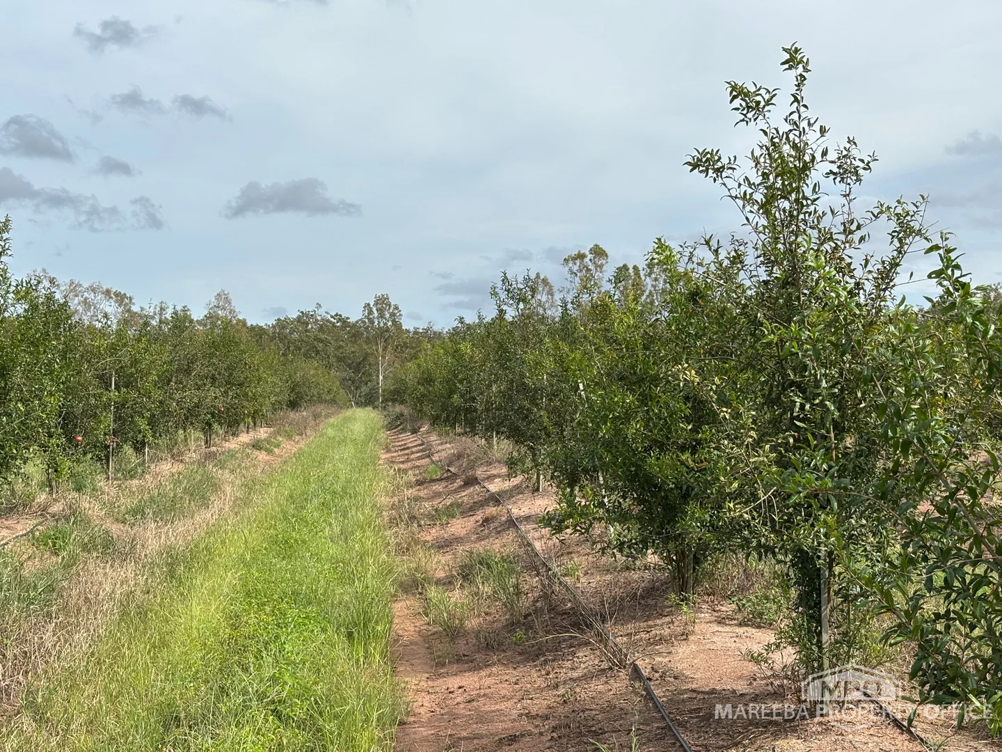 Additional image 2 of 446 Chewko Road, Mareeba QLD 4880