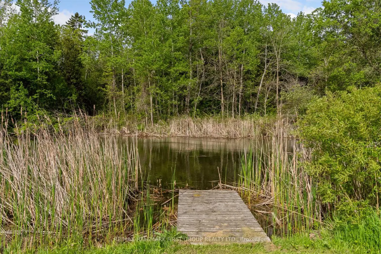 Additional image 19 of 535 Myrtle Road