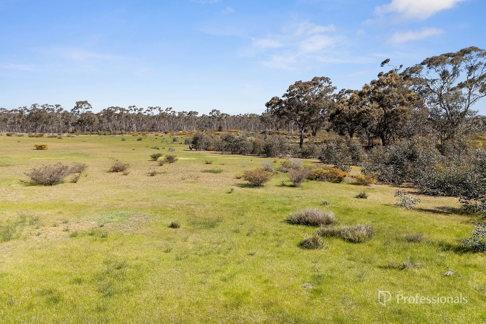 Additional image 5 of 103 Logan Road, Alma VIC 3465