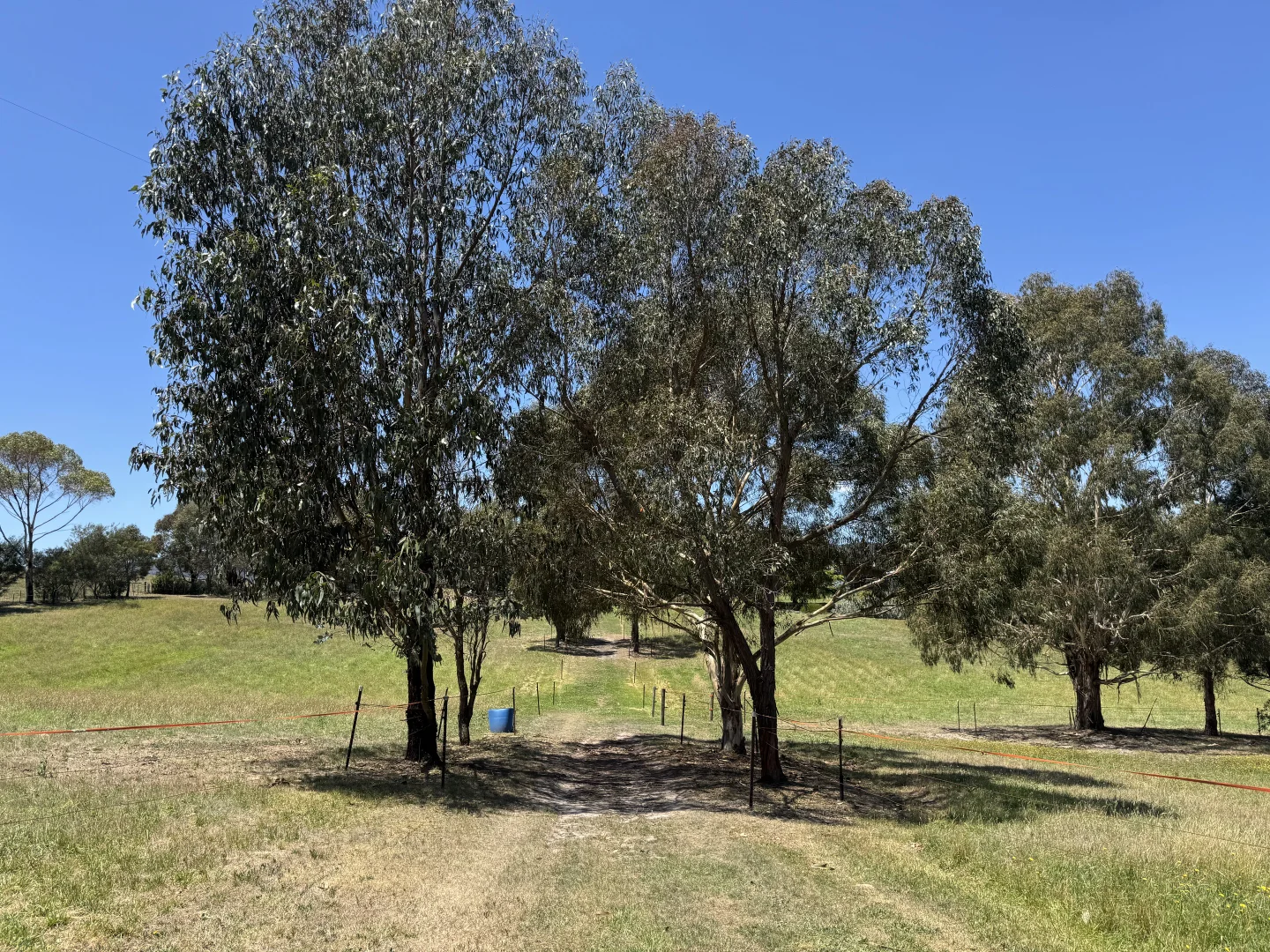 Additional image 35 of 10 Munts Road, Upper Plenty VIC 3756