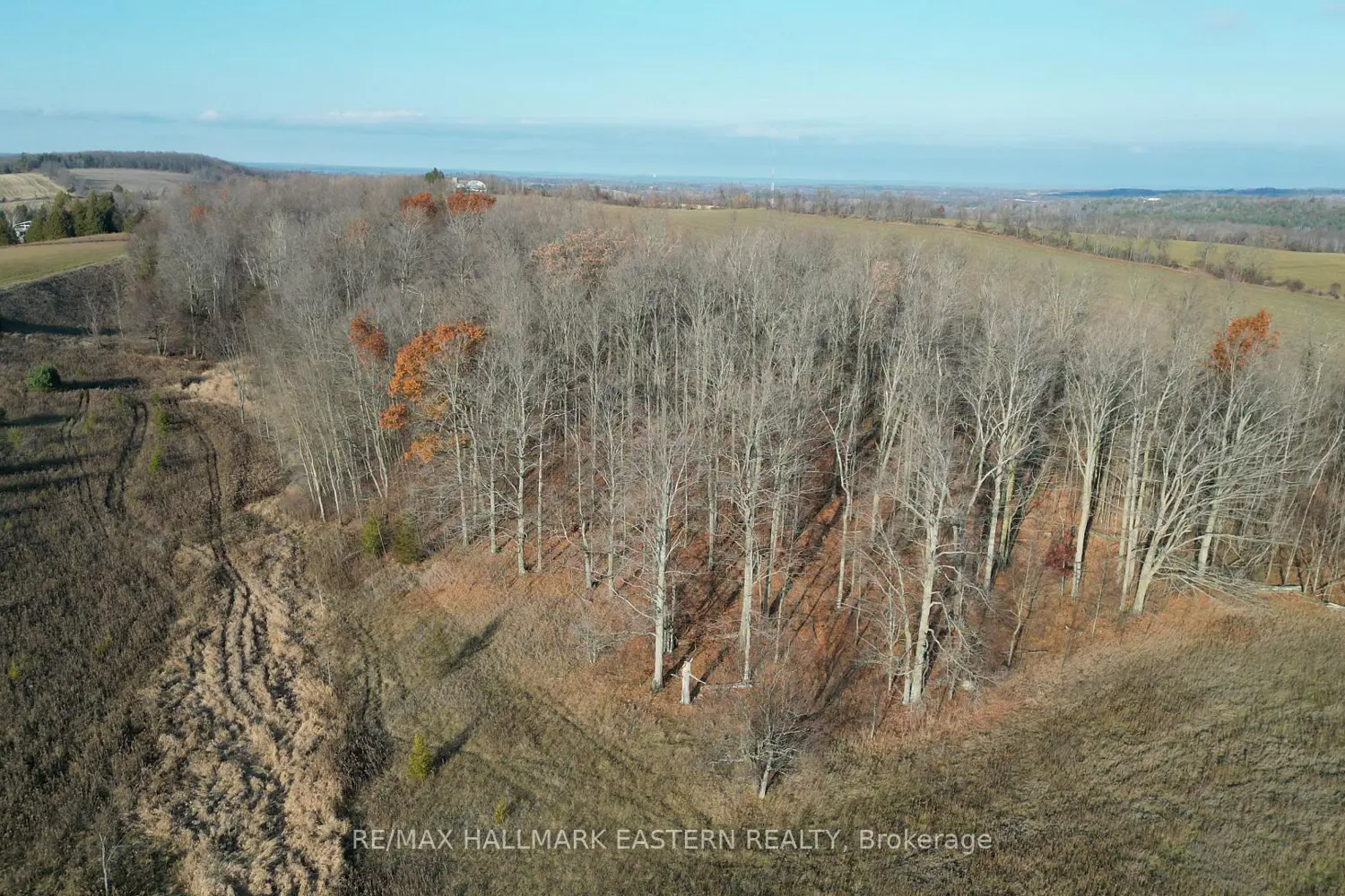 Additional image 5 of 461 Concession 11