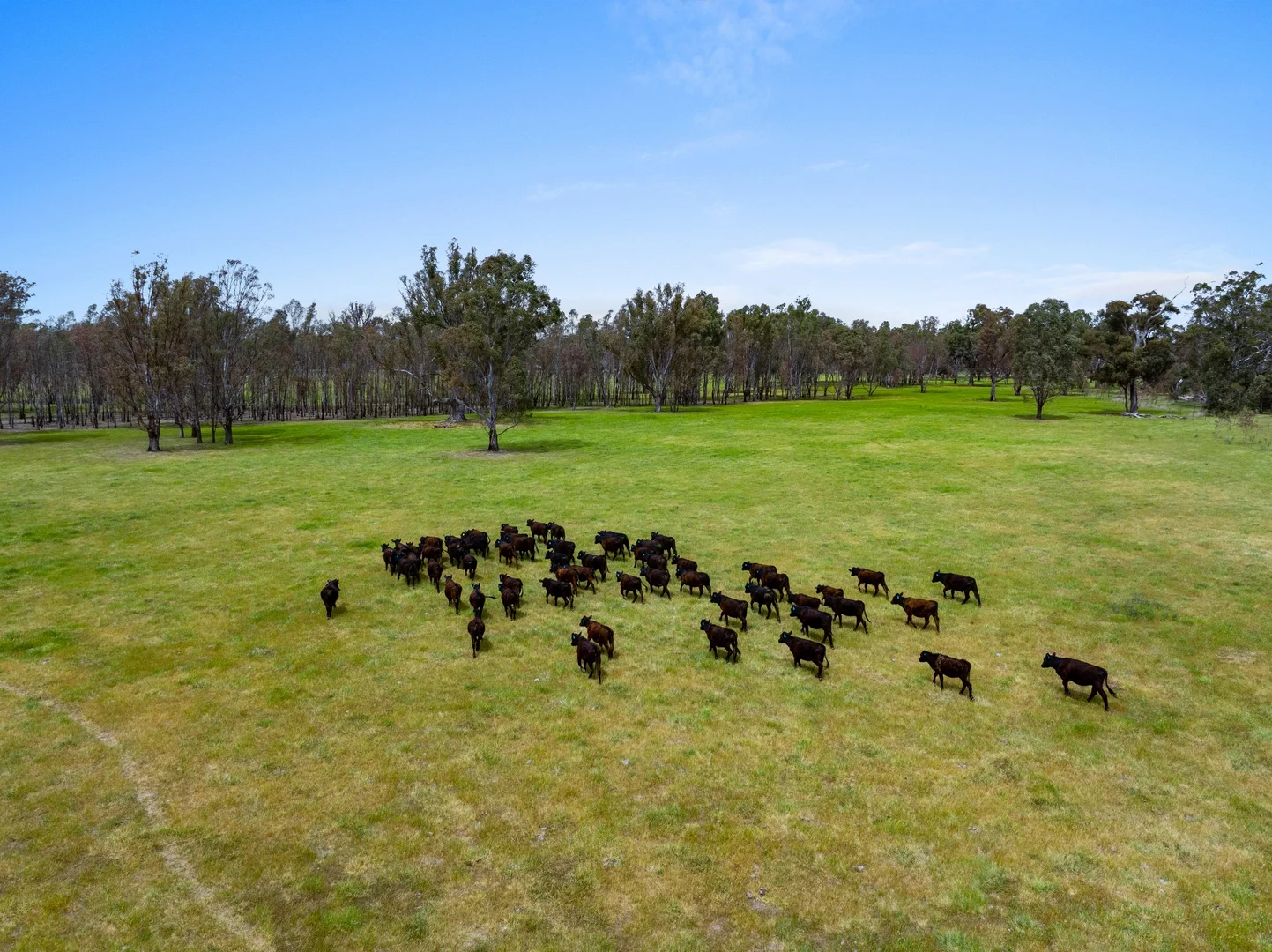 Additional image 14 of 431 Morningside Road, Wahring VIC 3608