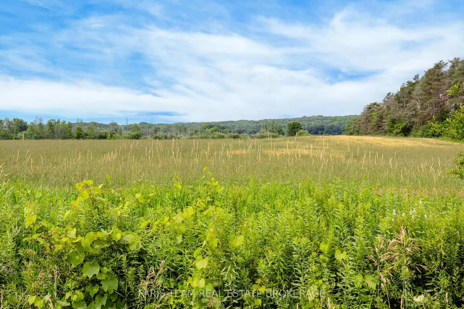 Additional image 8 of 584 Curry Road