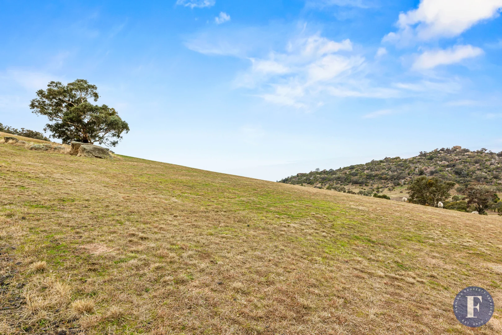 Additional image 7 of 73 Mount Mcdonald Road, Darbys Falls NSW 2793