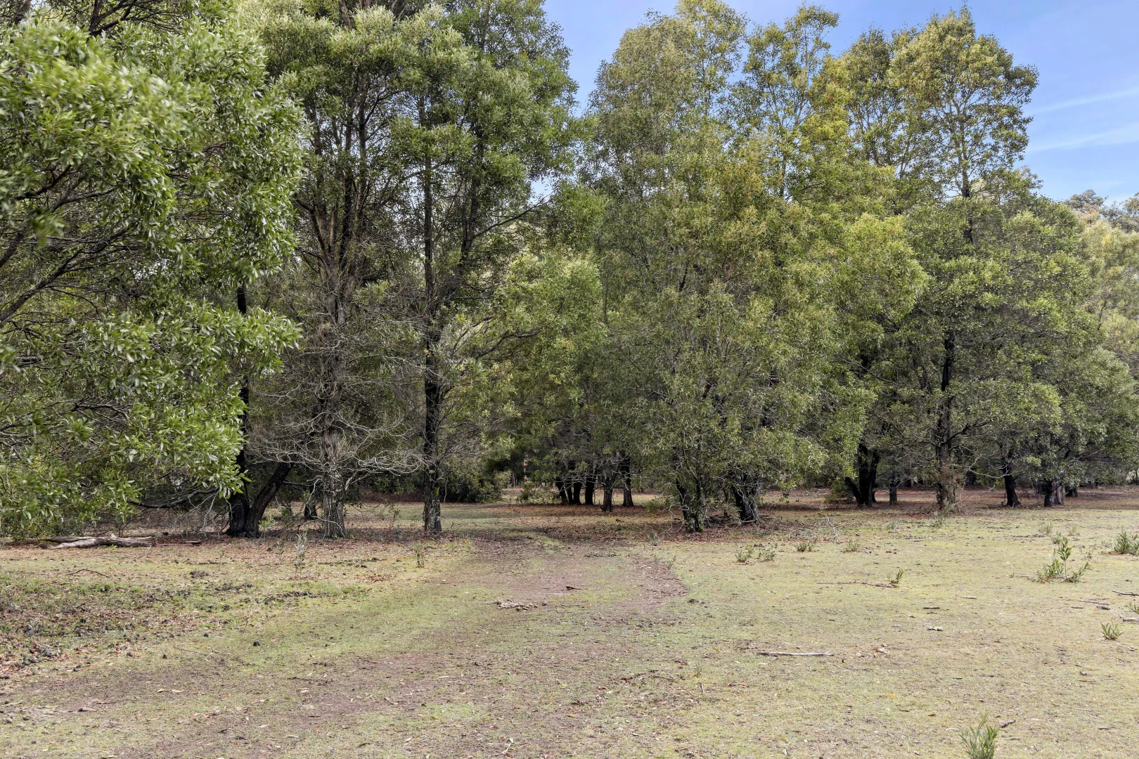 Additional image 5 of 6 Mullens Road, Trentham VIC 3458