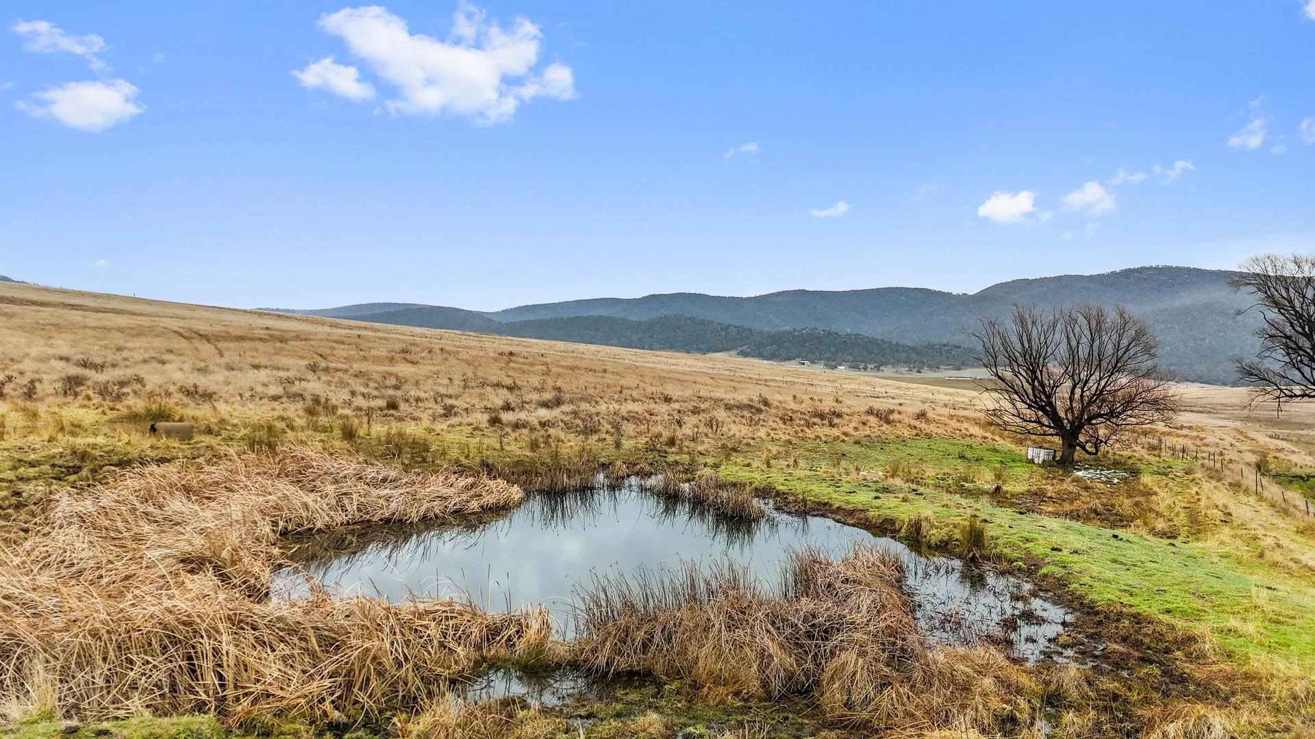 Additional image 13 of Lot 2 Monaro Highway, Bunyan NSW 2630