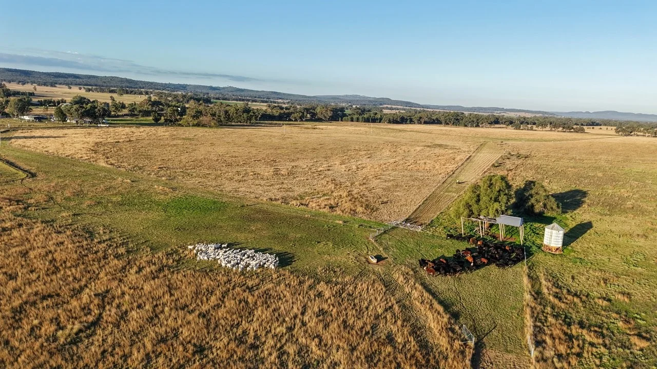 Additional image 6 of 3761 Neilrex Road, Neilrex NSW 2831