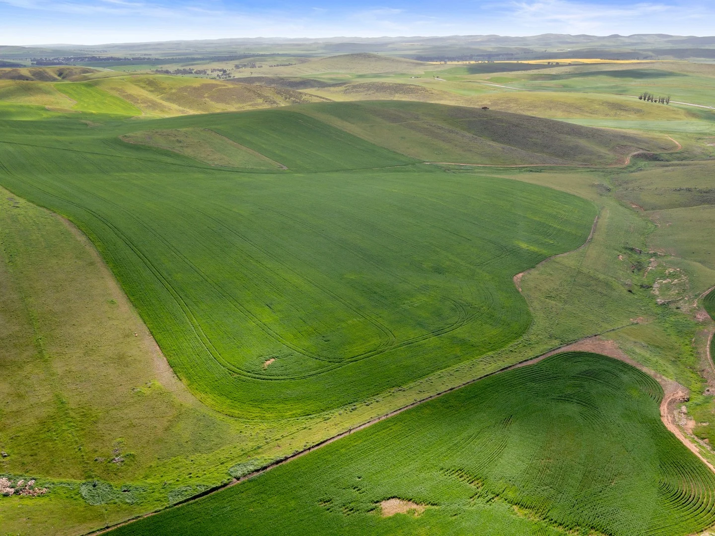 2489 R M Williams Way, Spalding SA 5454