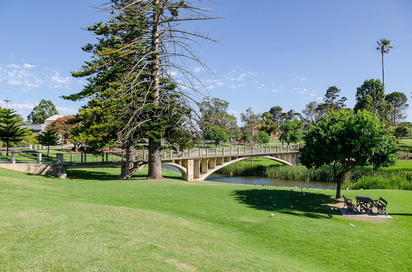 Additional image 19 of 7, 11 Berwick Crescent, Strathalbyn SA 5255