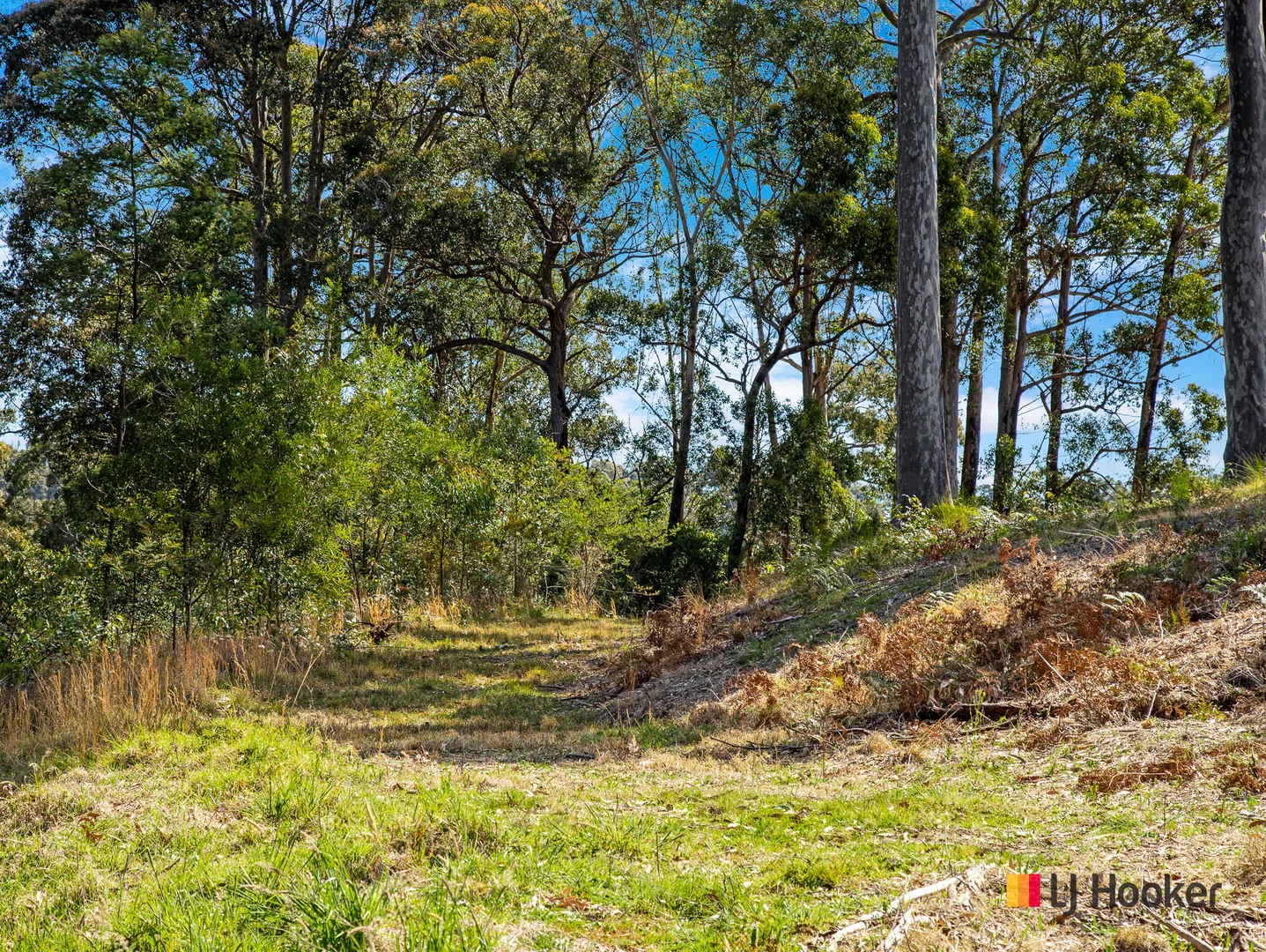Additional image 5 of 25 Timber Way, Surf Beach NSW 2536