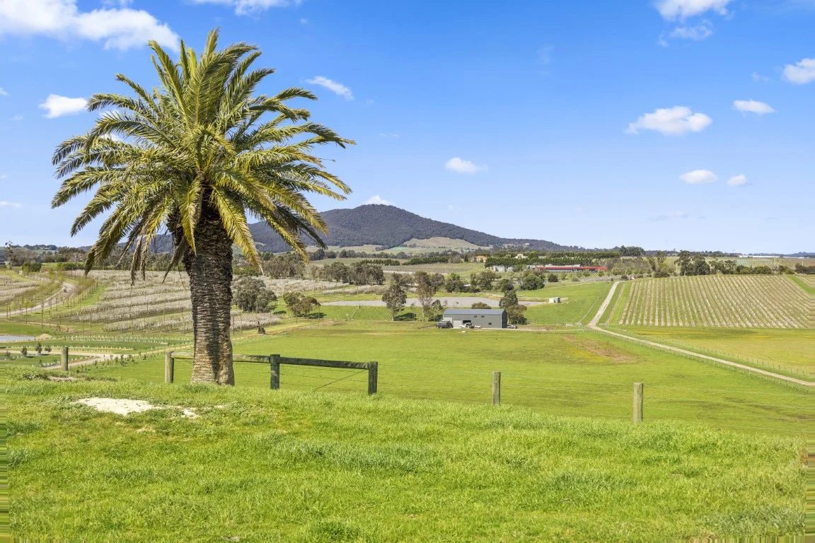 Additional image 11 of 737 Maroondah Highway, Coldstream VIC 3770