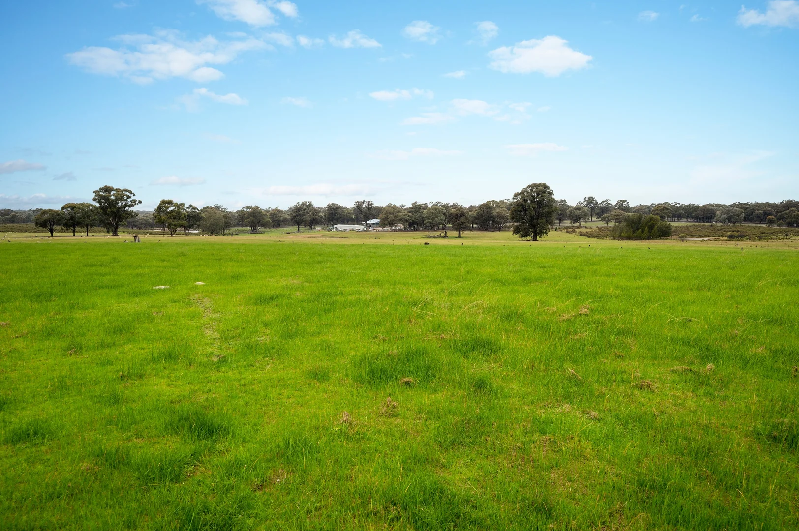 Additional image 4 of 762 Derrinal-Crosbie Road, Ladys Pass VIC 3523